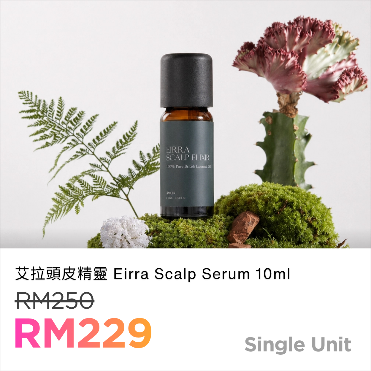 艾拉頭皮精靈